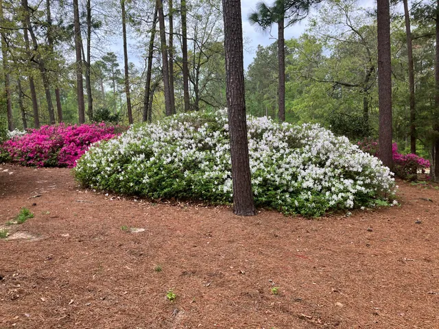 $548,900 | 5068 Belle Mead Drive, Aiken, SC 29803