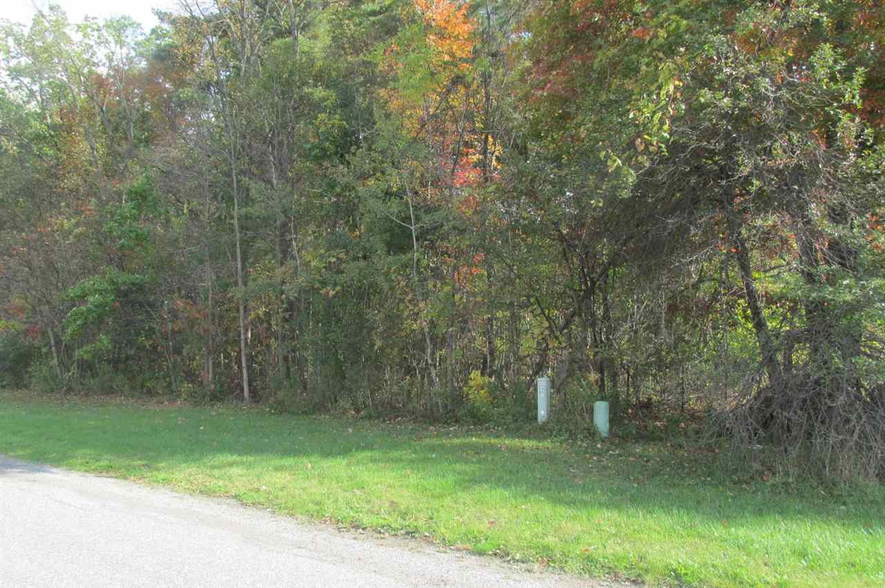 0 Elms Road Birch Run, MI 48415 - Photo 1 of 2