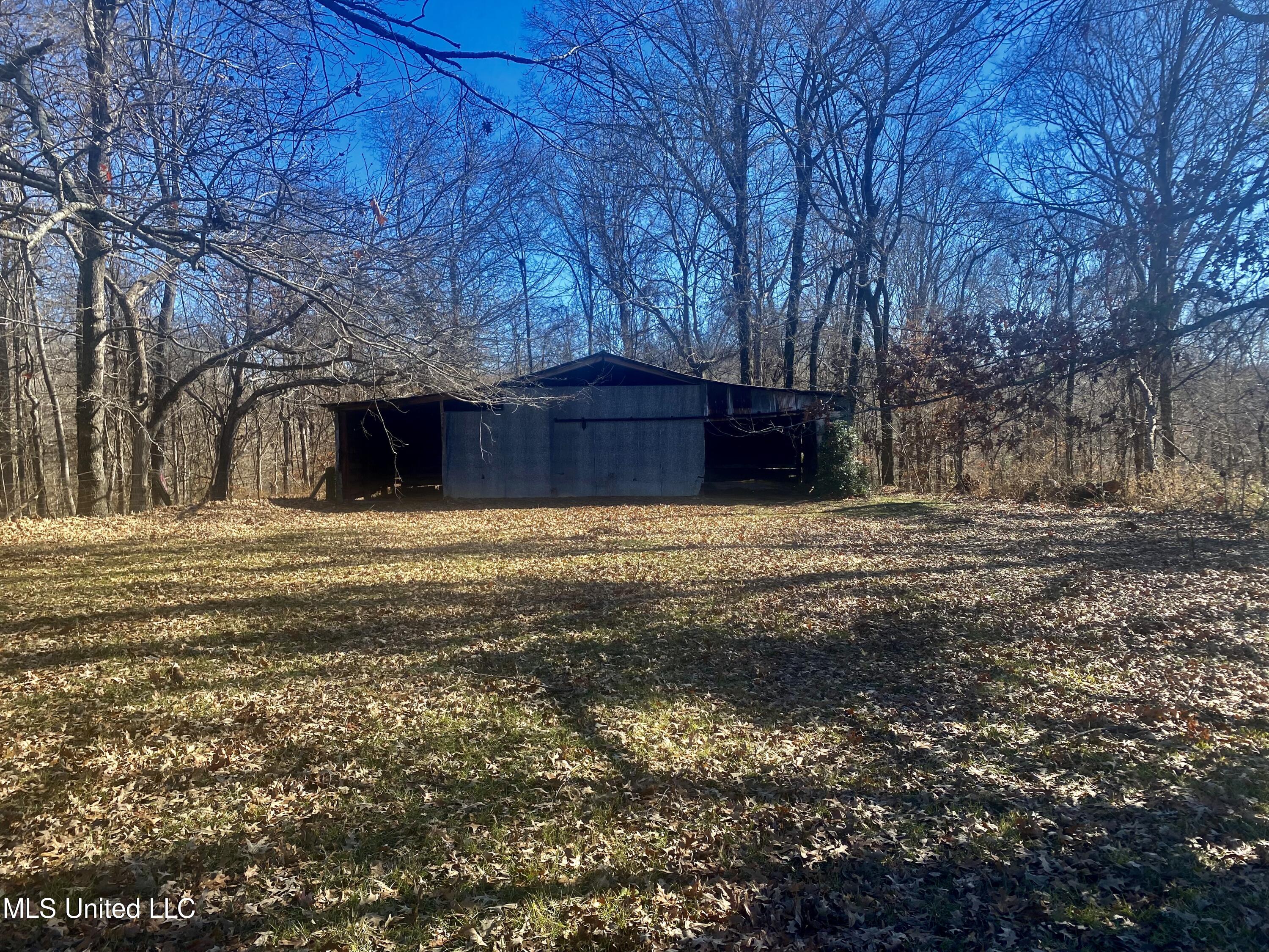 1056 Stevens Road Tinsley, MS 39173 - Photo 3 of 12 58637091-74AE-48A9-94B6-D90907374F87_1_2