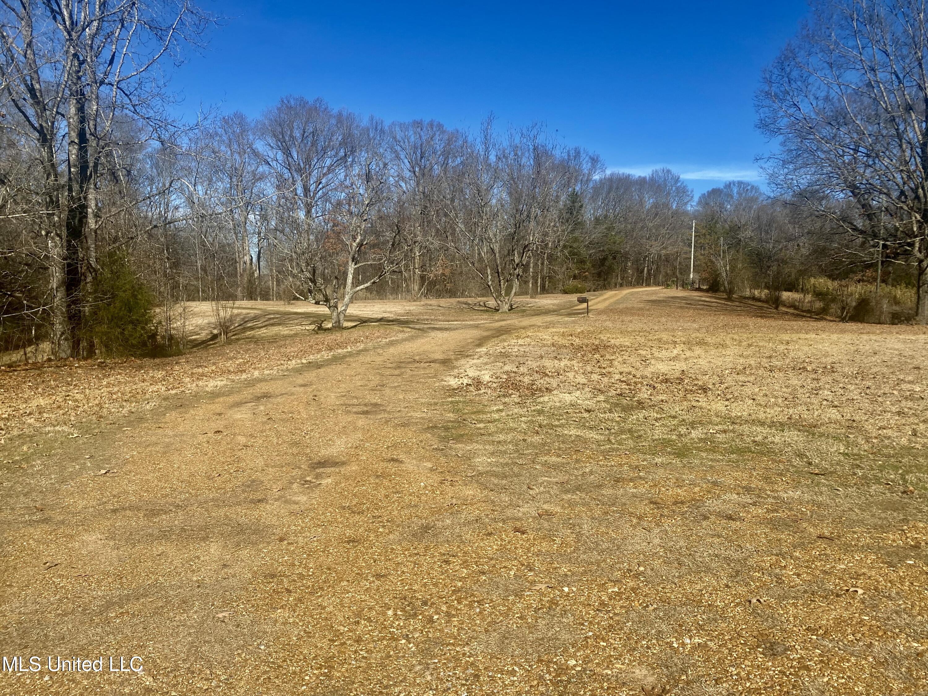 1056 Stevens Road Tinsley, MS 39173 - Photo 10 of 12 9714A9E8-1394-4E1A-A4A6-2829B7FFD2E3_1_2