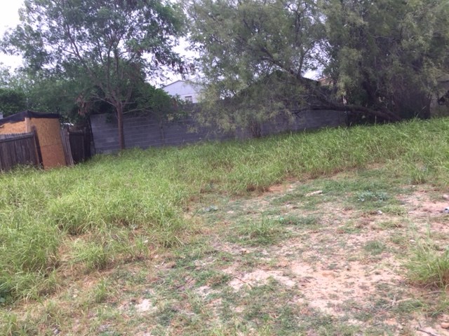4807 Roque Loop Laredo, TX 78046 - Photo 5 of 6 Gallery Image 5