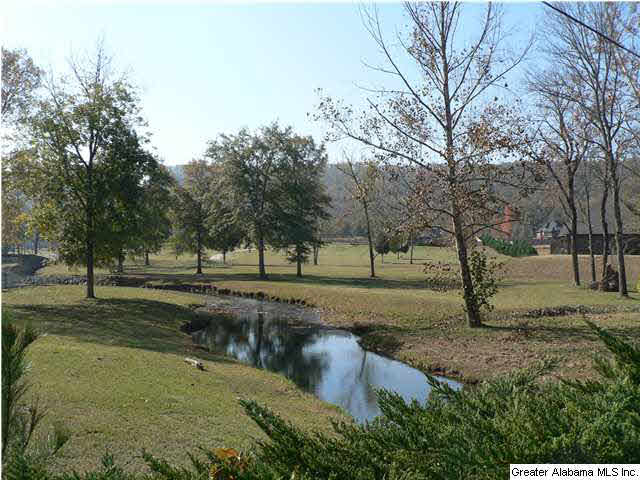 100 Blueberry Cove, Unit 326 Springville, AL 35146 - Photo 6 of 8
