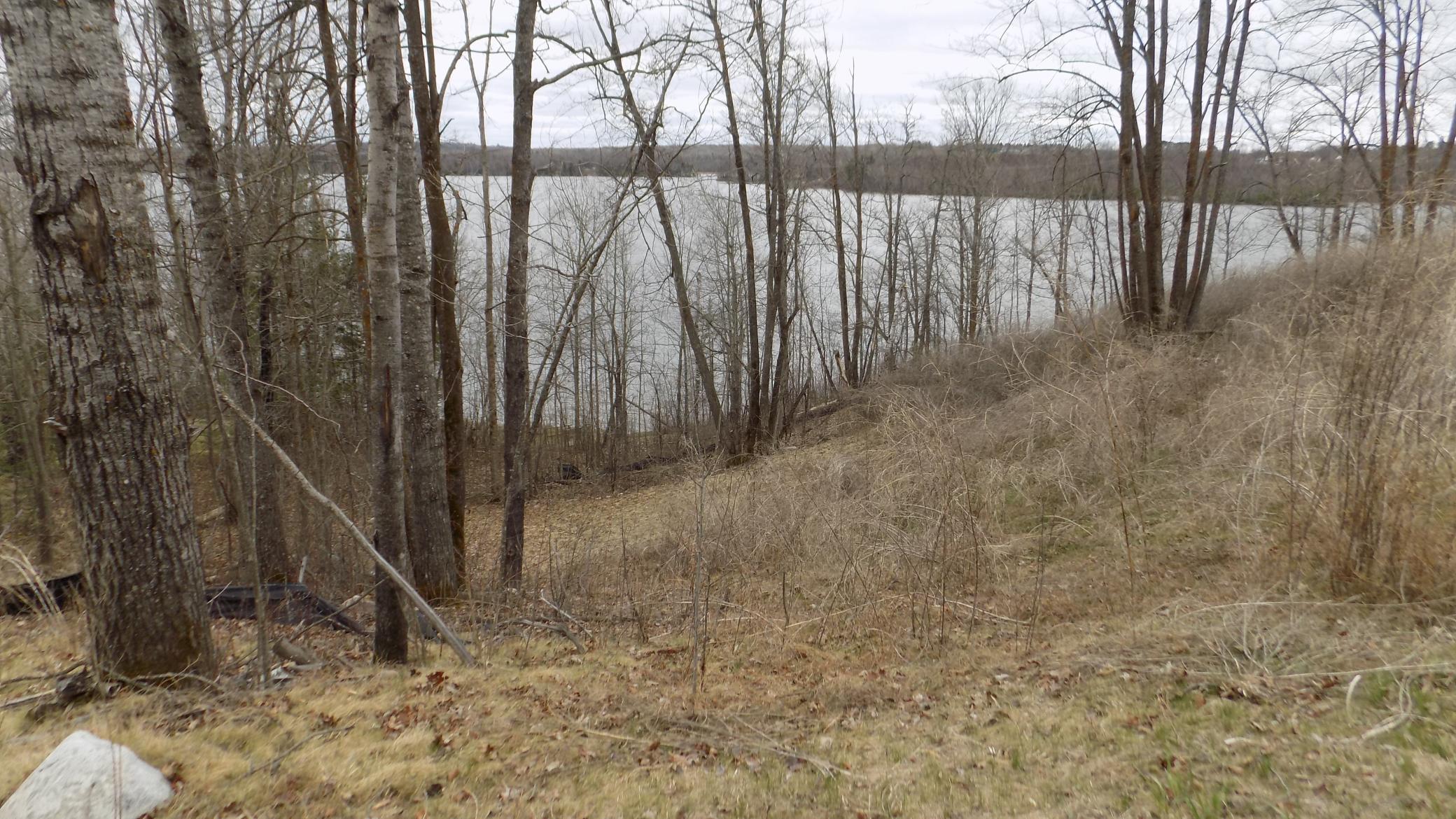 Tbd Blue Bill Bay Road Bovey, MN 55709 - Photo 6 of 6