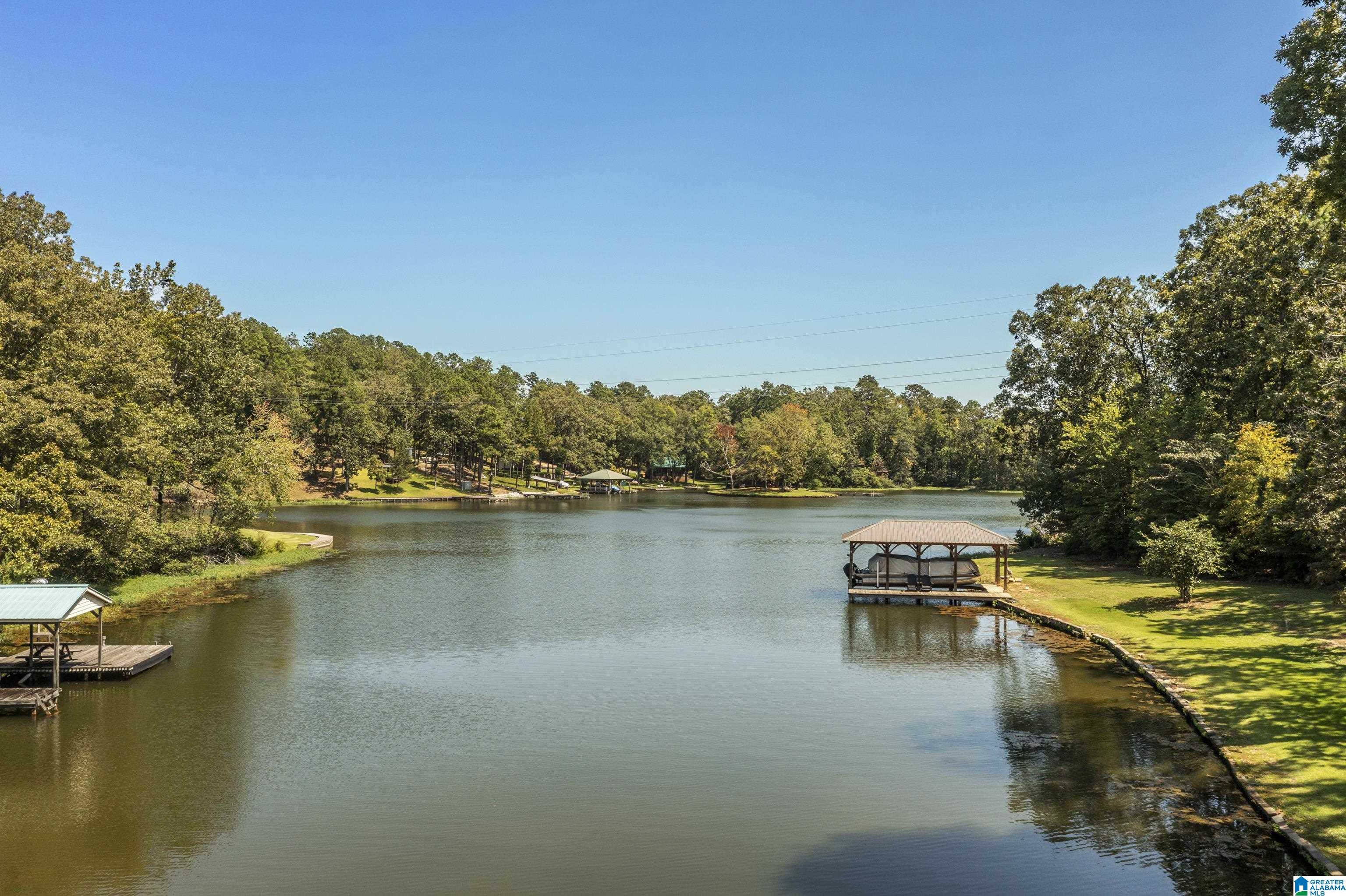 77 Coyote Lane Sylacauga, AL 35151 - Photo 4 of 41