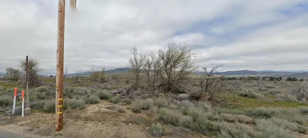 a view of a dry yard with trees in front of it