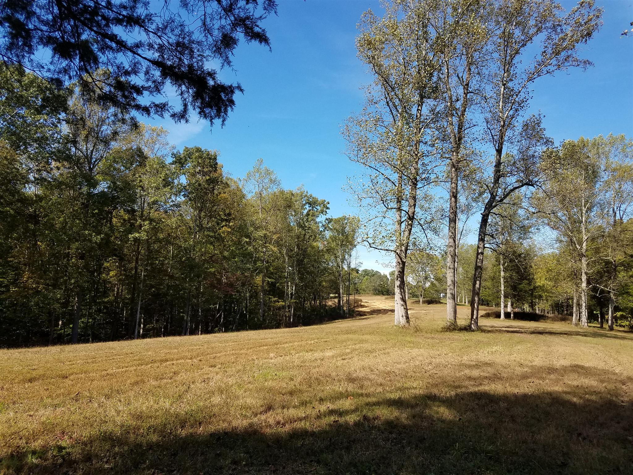 1 Poplar Ridge Primm Springs, TN 38476 - Photo 3 of 7 a view of road with trees