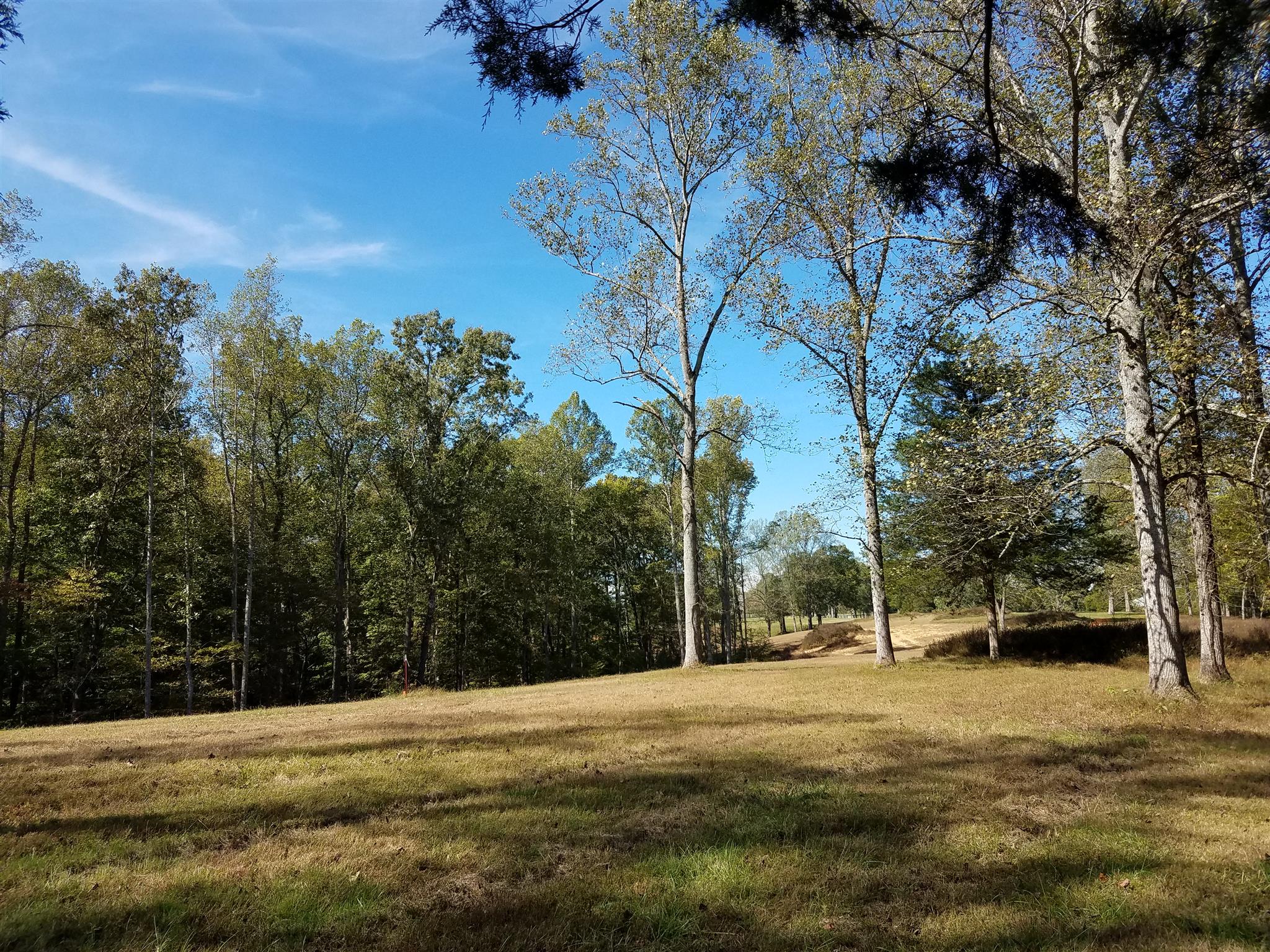 1 Poplar Ridge Primm Springs, TN 38476 - Photo 4 of 7 a view of a city with trees