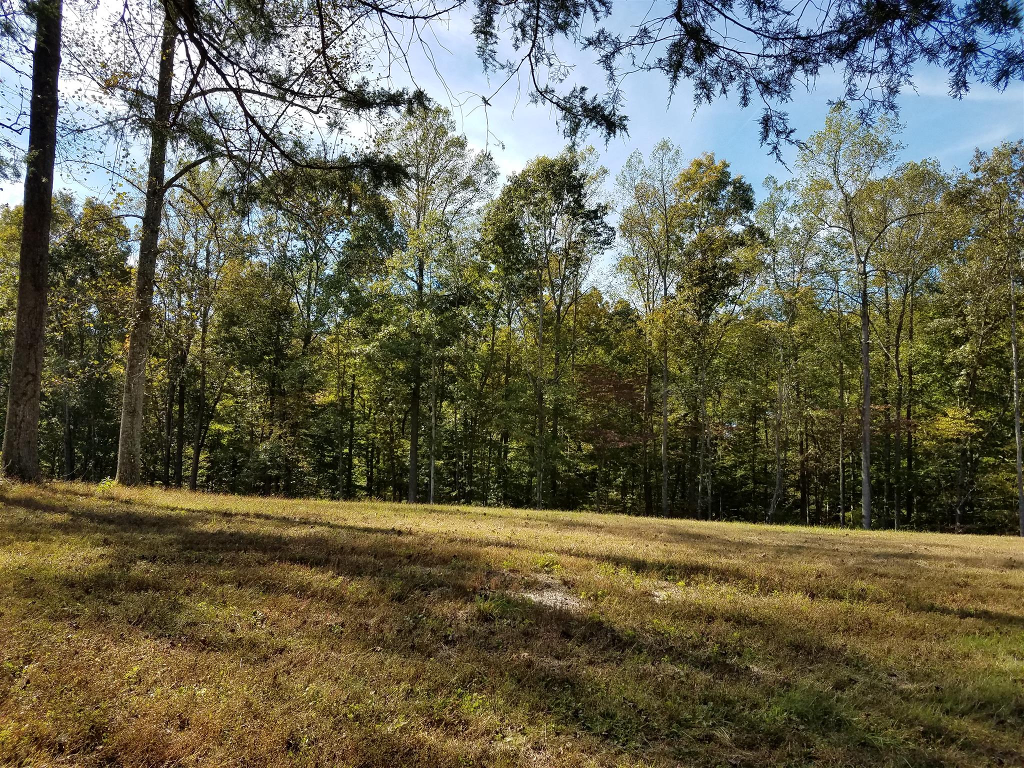 1 Poplar Ridge Primm Springs, TN 38476 - Photo 5 of 7 a view of outdoor space with trees