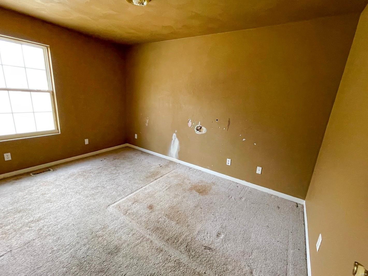 1005 Apache Drive Collinsville, IL 62234 - Photo 14 of 22