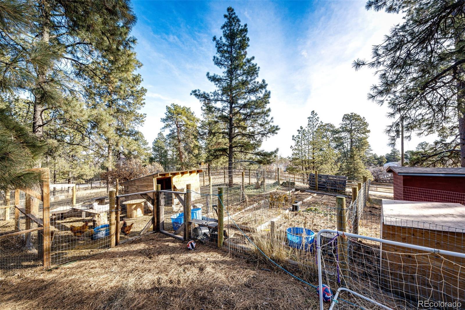 1042 Buttercup Road Elizabeth, CO 80107 - Photo 33 of 41 Gallery Image 33