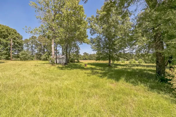 a view of yard with swimming pool and green space