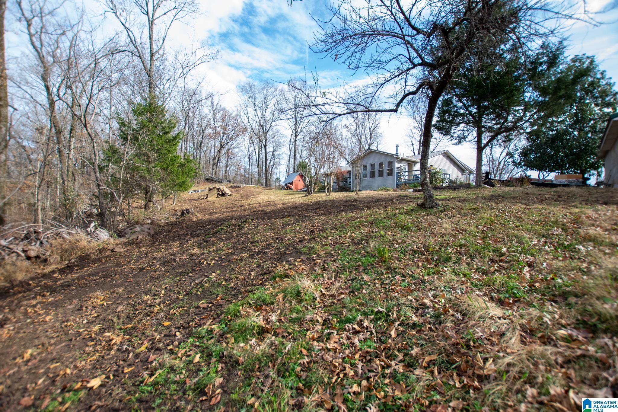 543 Young Road Remlap, AL 35133 - Photo 43 of 46