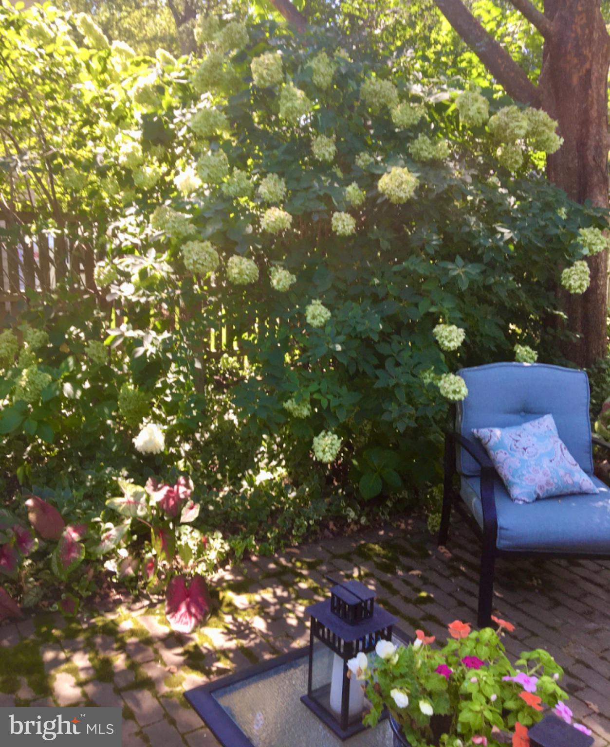 700 South Talbot Street St. Michaels, MD 21663 - Photo 82 of 83 Owner photo of summertime gardens