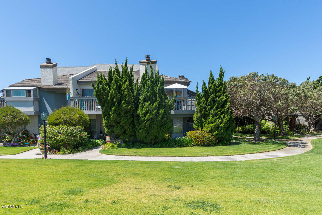 a view of a garden with a building in the background