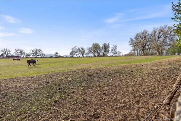 $699,999 | 8865 Jellison Court, Westminster, CO 80021