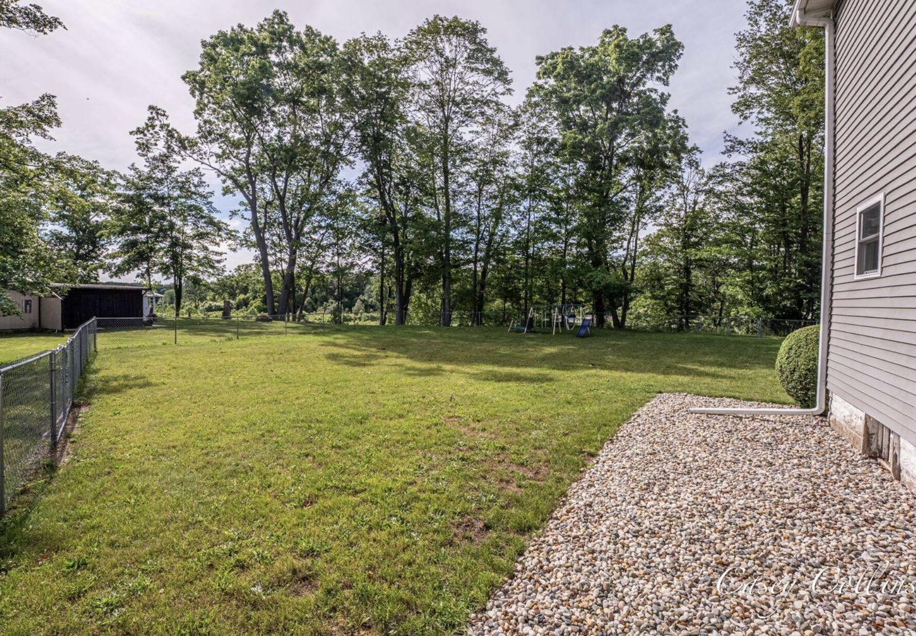 Back yard