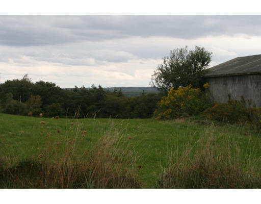 36 Horne Homestead Road Charlton, MA 01507 - Photo 10 of 27