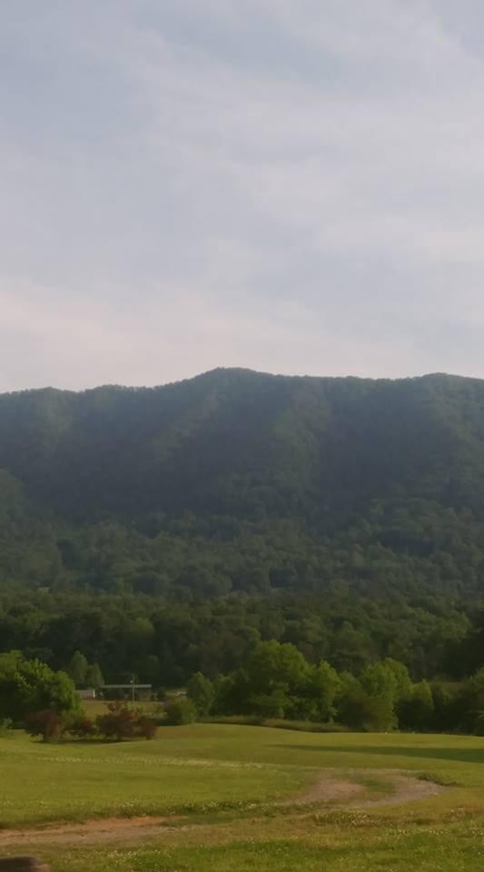 0 Cavern Road Townsend, TN 37882 - Photo 8 of 10 Gallery Image 8