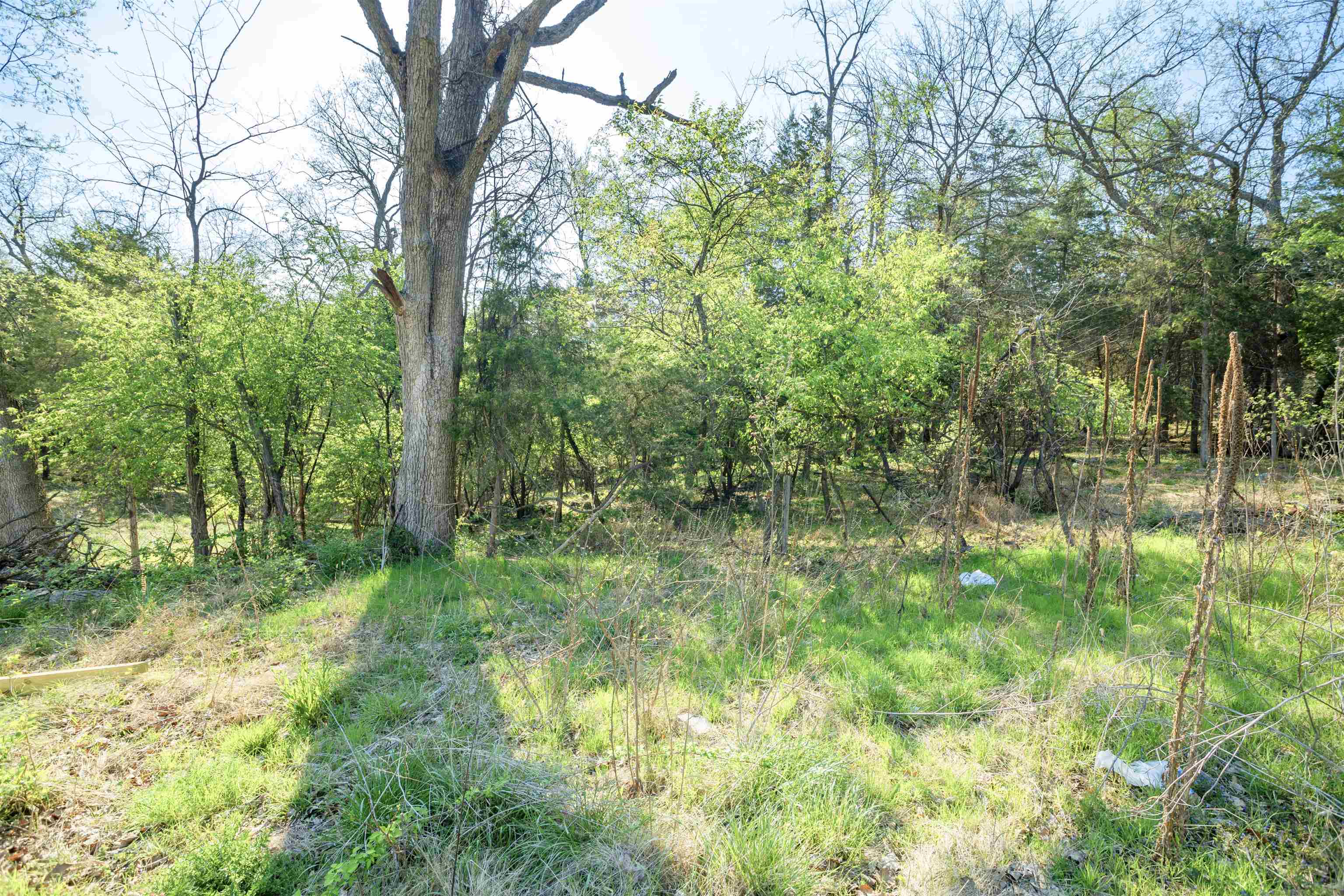 1641 Smithland Road Harrisonburg, VA 22802 - Photo 5 of 44 a view of a yard with a tree
