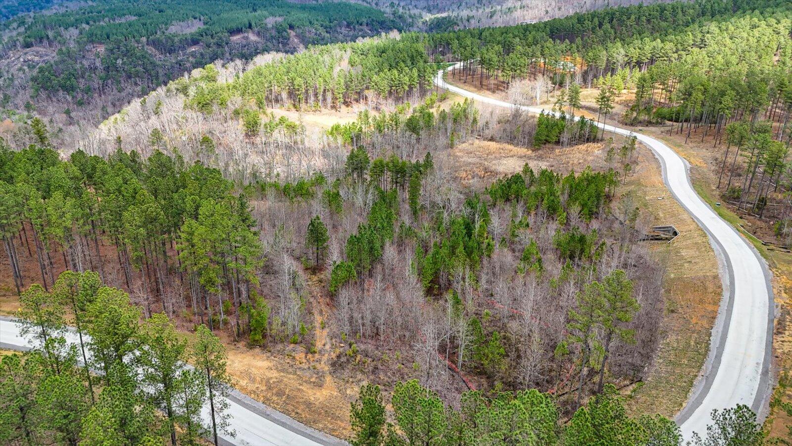0 Birds Eye Way, Unit LOT 1065 Guild, TN 37340 - Photo 17 of 29 09-Birds Eye Way #1065-9