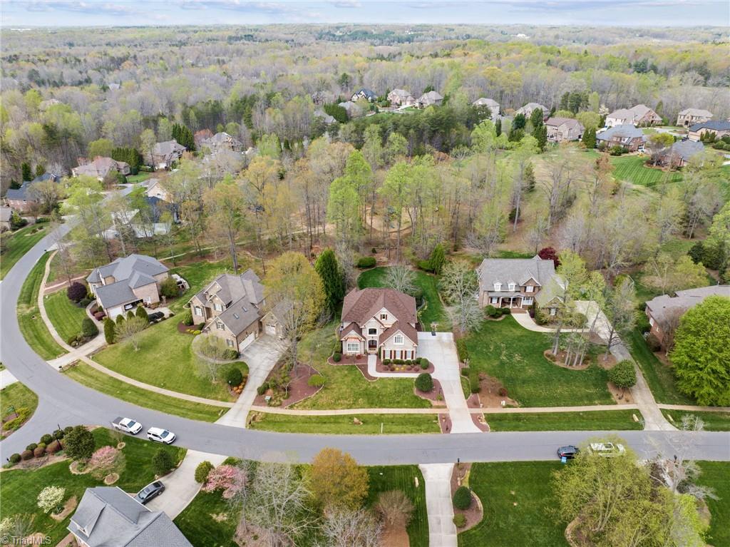 6308 Blue Aster Trace Summerfield, NC 27358 - Photo 45 of 49