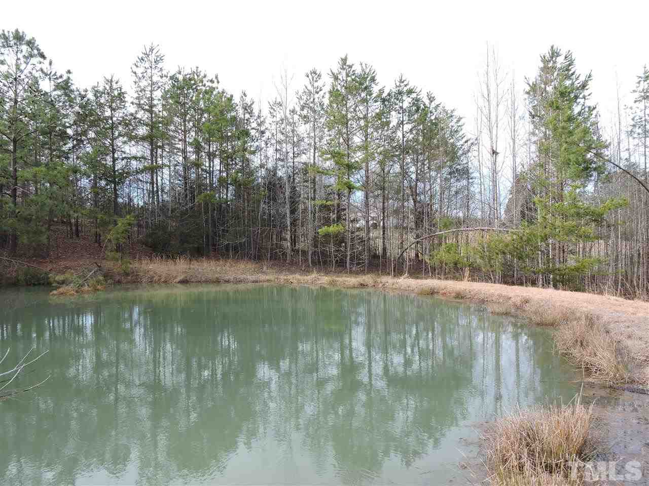 8320 Bacon Road Timberlake, NC 27583 - Photo 15 of 21 a view of lake with a large trees