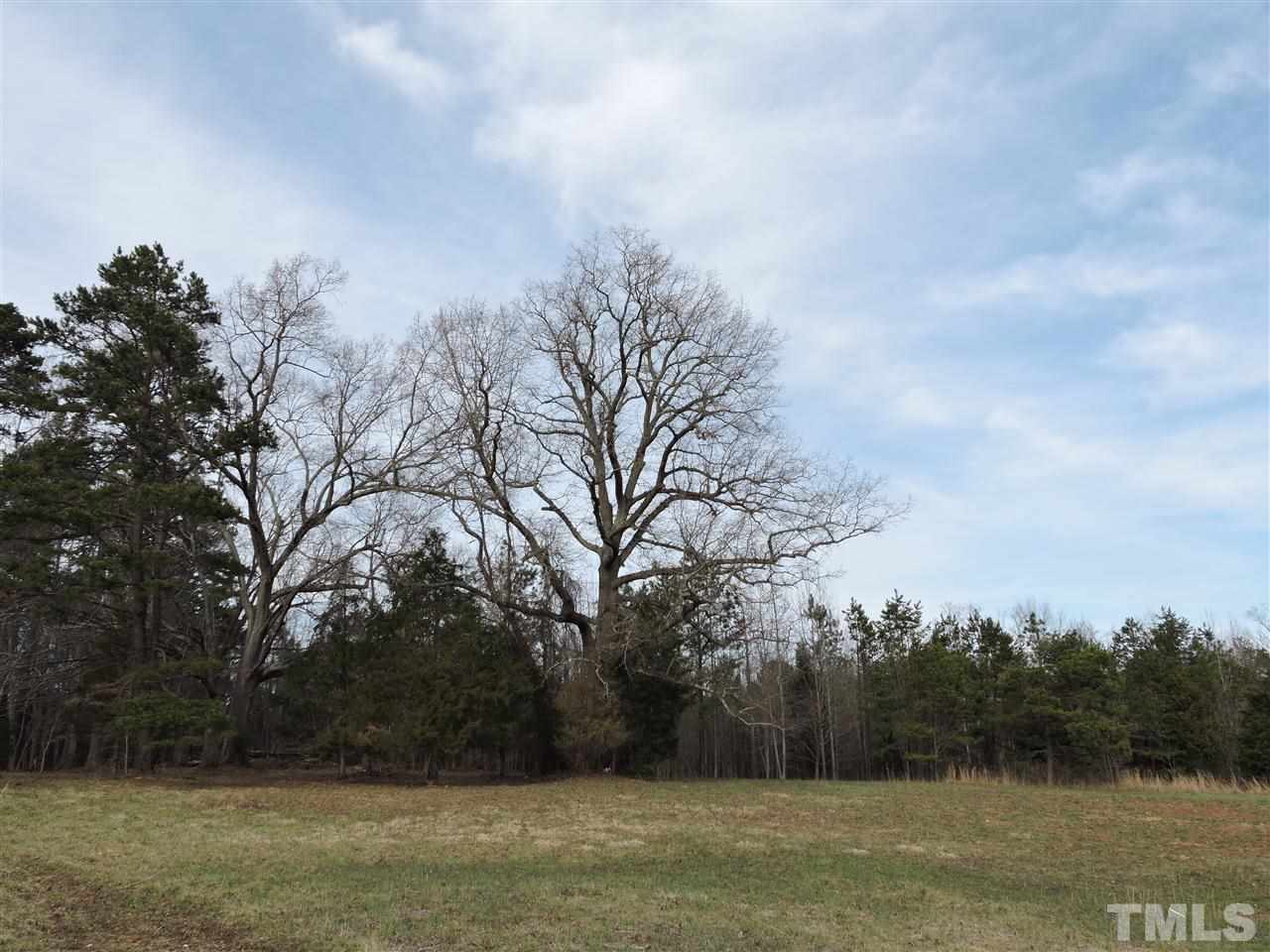 8320 Bacon Road Timberlake, NC 27583 - Photo 16 of 21 a view of mountain with trees in the background