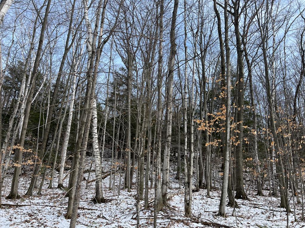 East Spring Lane Egg Harbor, WI 54209 - Photo 1 of 3 Main View