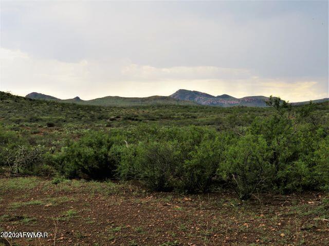 Tbd North Pedregosa Road Douglas, AZ 85607 - Photo 9 of 21 Gallery Image 9