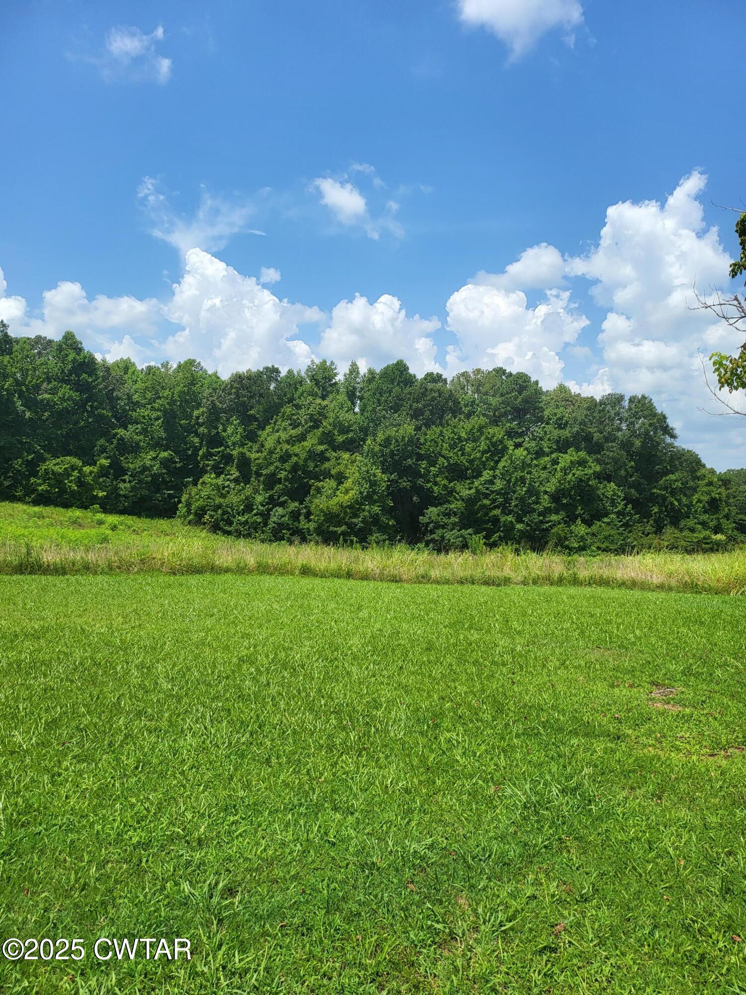 900 Hubberd Town Road Beech Bluff, TN 38313 - Photo 19 of 19 a view of a green field