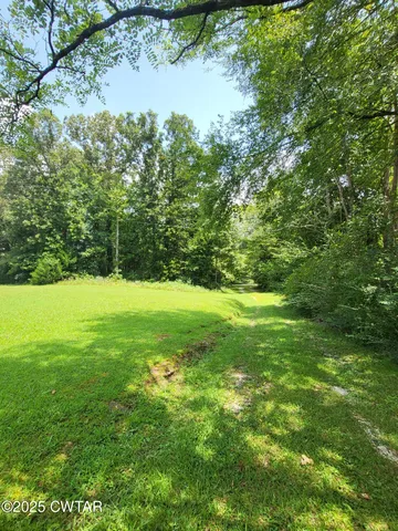 a view of yard with green space