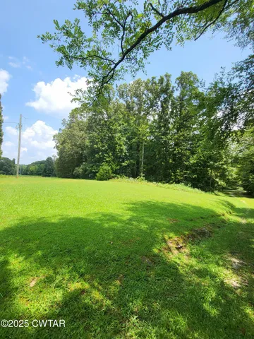 a view of green field with a tree