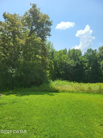 a view of yard with green space