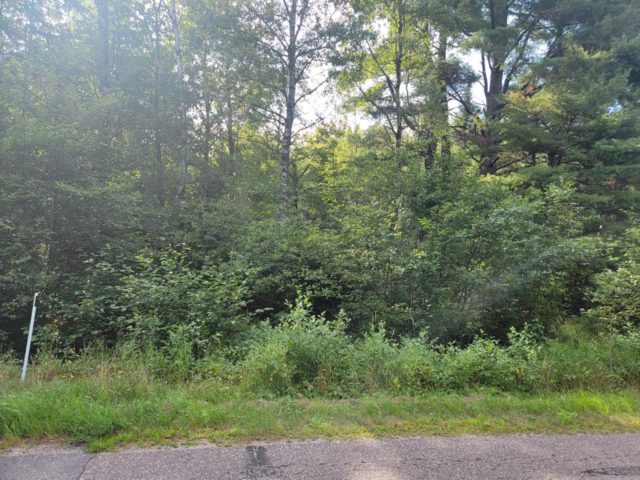 On Loon Lake Road, Unit LOT 4 Eagle River, WI 54521 - Photo 4 of 10 Gallery Image 4