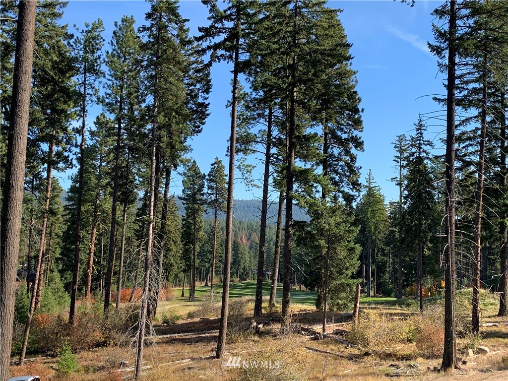 145 Maple Leaf Loop Cle Elum, WA 98922 - Photo 4 of 11 a view of a park with potted plants and large trees