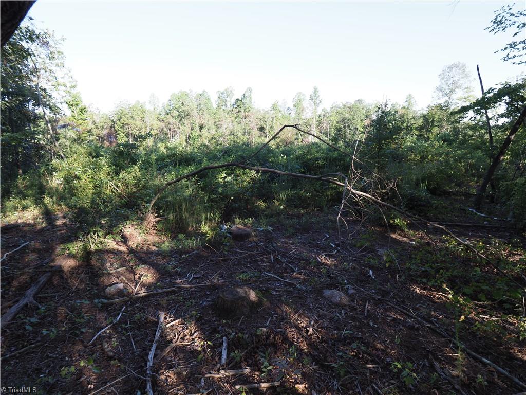 11.71-ac Rockford Road Dobson, NC 27017 - Photo 3 of 13