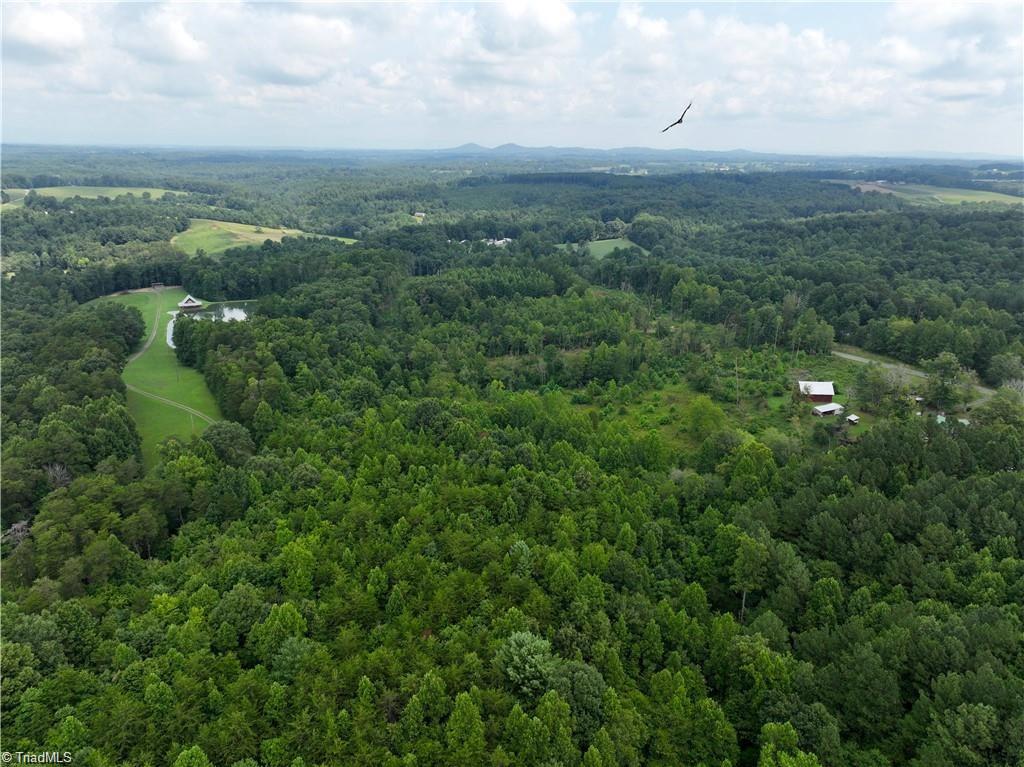 11.71-ac Rockford Road Dobson, NC 27017 - Photo 6 of 13
