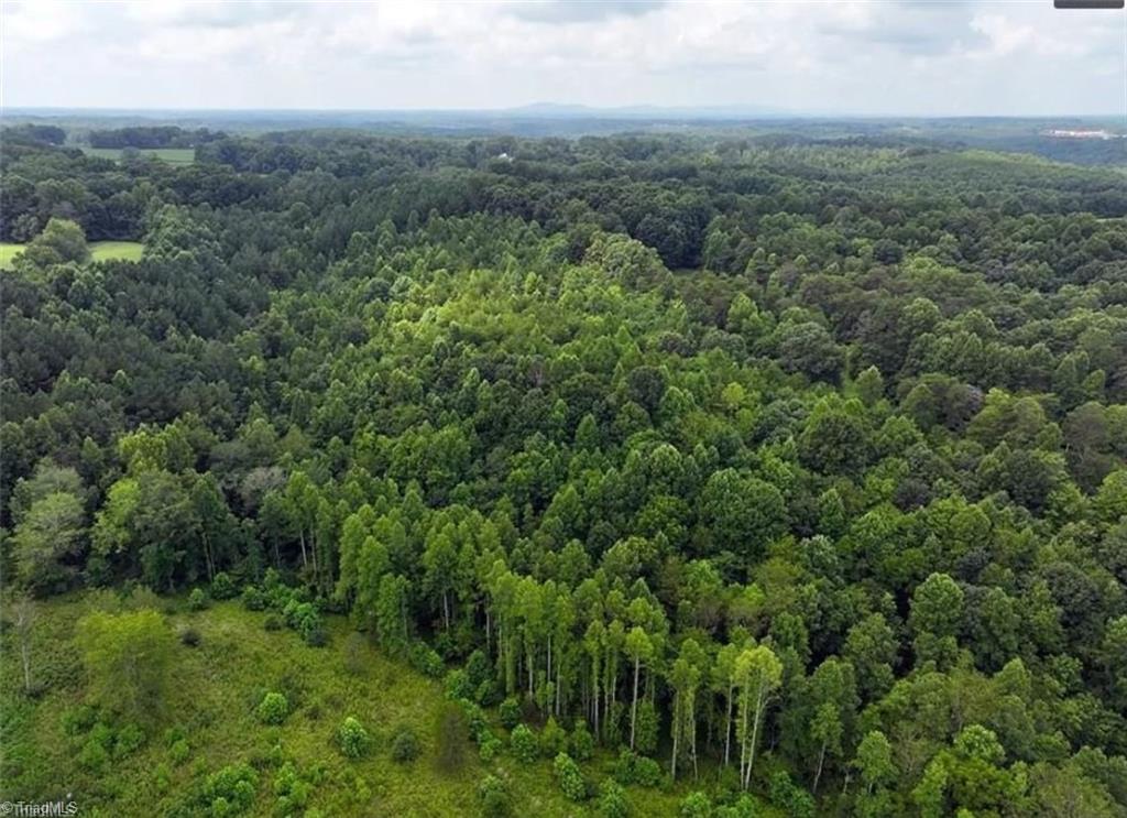 11.71-ac Rockford Road Dobson, NC 27017 - Photo 10 of 13