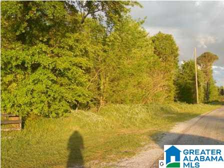 0 Curry Station Road, Unit 1 Munford, AL 36268 - Photo 14 of 14