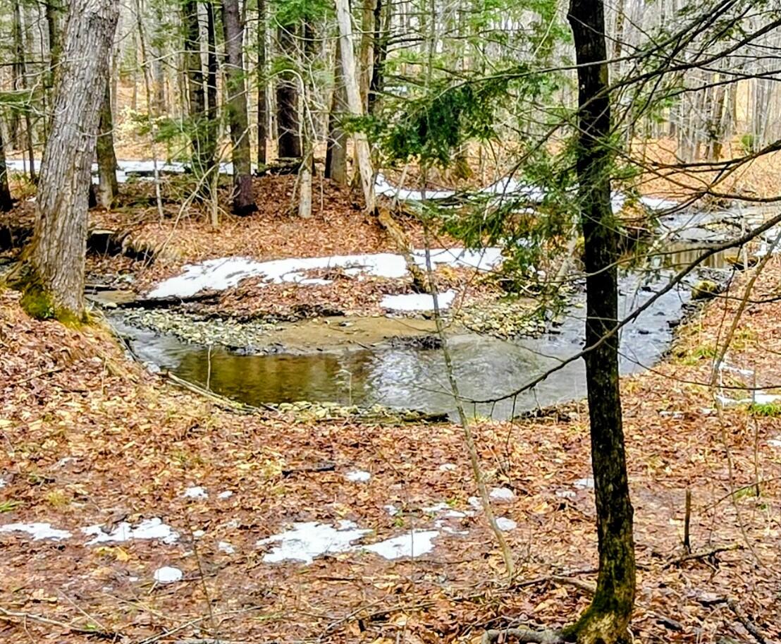 16 White Avenue Jay, ME 04239 - Photo 5 of 62 20260401_135206~3