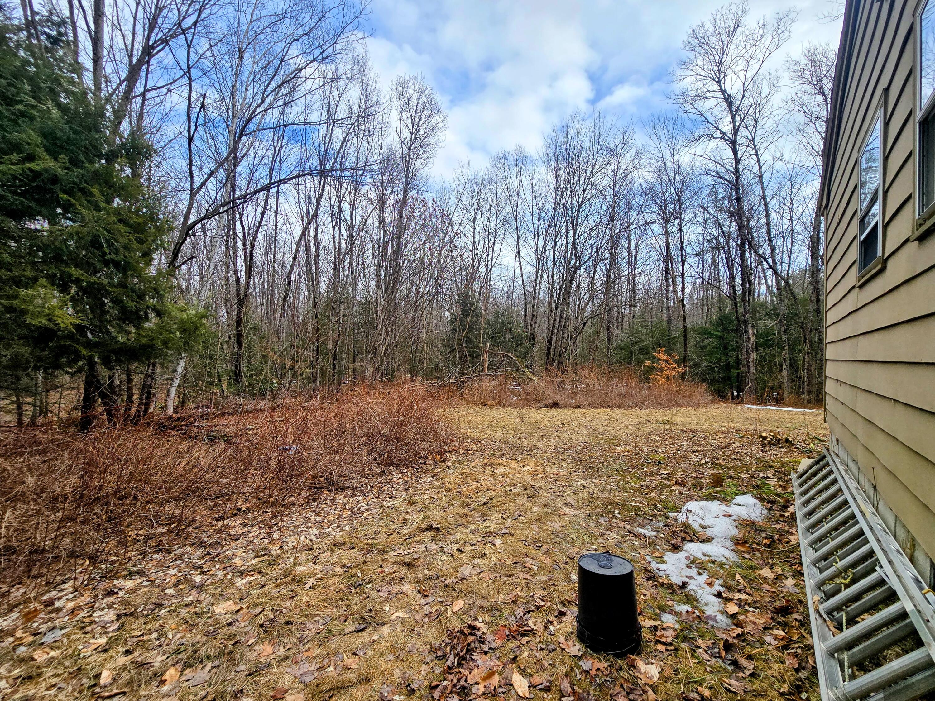 16 White Avenue Jay, ME 04239 - Photo 51 of 62 20260401_135053-EDIT