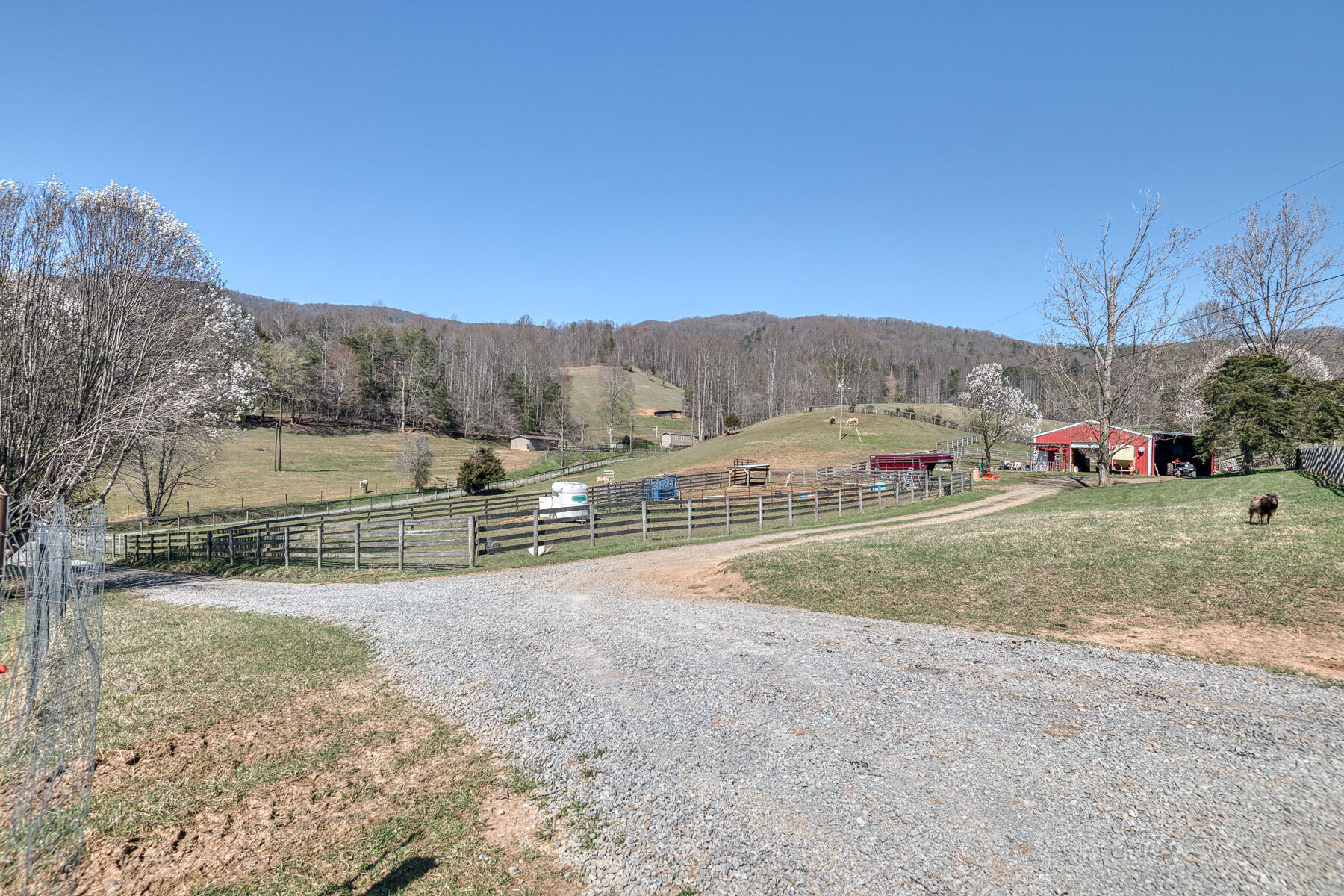 216 Cole Hollow Road Elizabethton, TN 37643 - Photo 43 of 70 Cole Hollow Rd 40