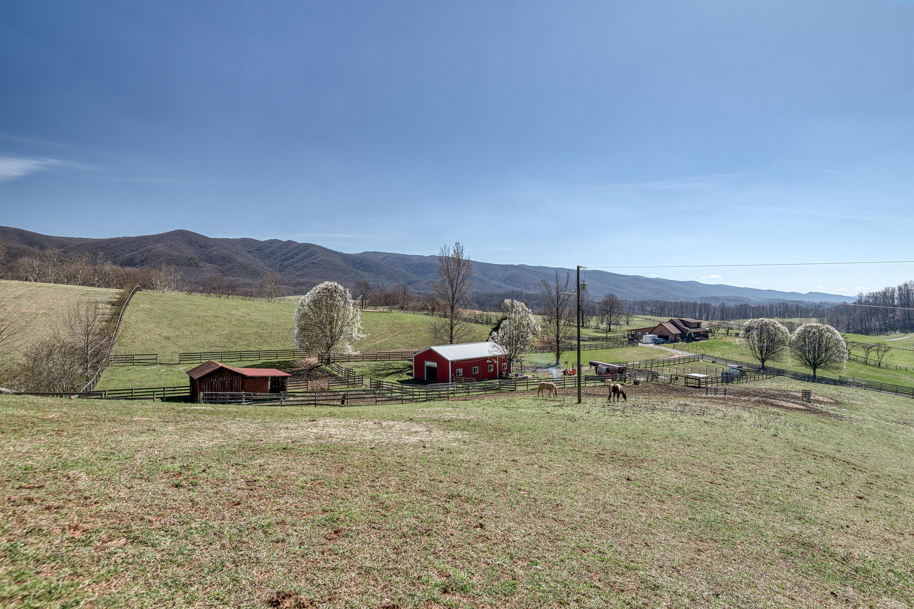 216 Cole Hollow Road Elizabethton, TN 37643 - Photo 56 of 70 Cole Hollow Rd 57