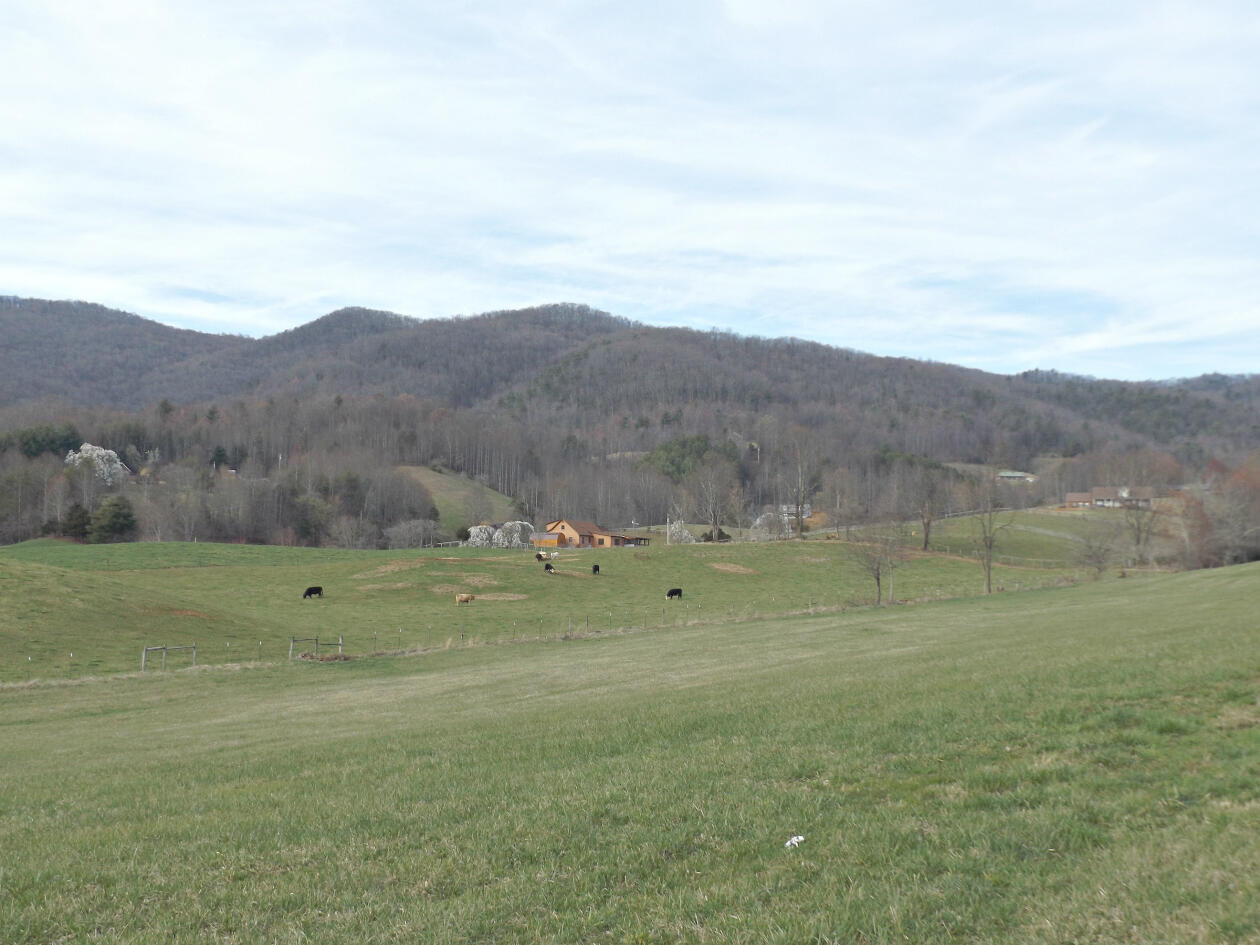 216 Cole Hollow Road Elizabethton, TN 37643 - Photo 67 of 70 DSCF7387777