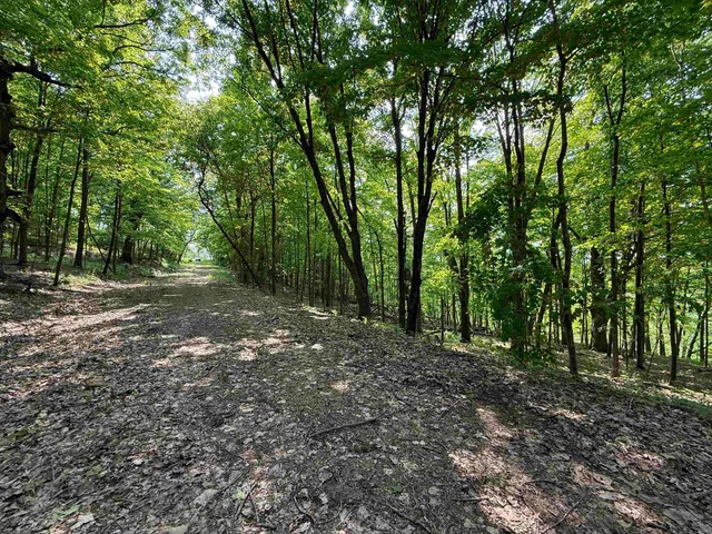 $84,900 | L10-13 Eggbrecht, La Valle, WI 53941