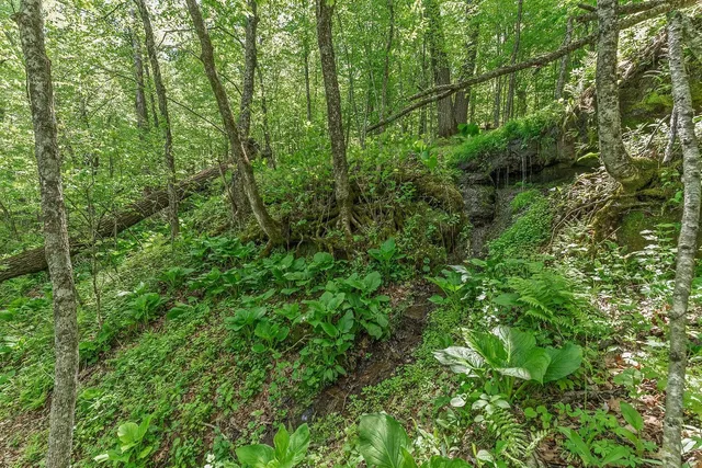 $84,900 | L10-13 Eggbrecht, La Valle, WI 53941