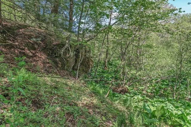 $84,900 | L10-13 Eggbrecht, La Valle, WI 53941