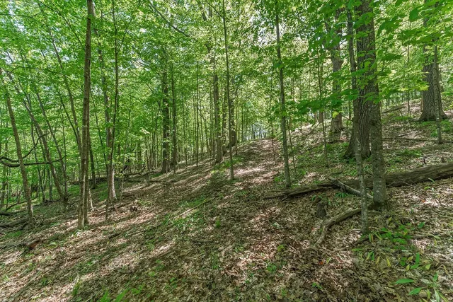 $84,900 | L10-13 Eggbrecht, La Valle, WI 53941