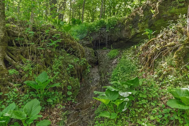 $84,900 | L10-13 Eggbrecht, La Valle, WI 53941