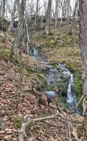 $84,900 | L10-13 Eggbrecht, La Valle, WI 53941